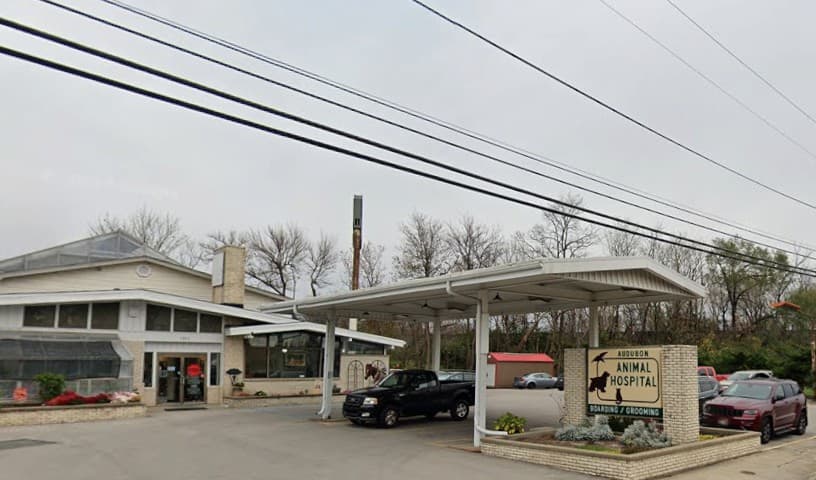 Audubon Animal Medical Center
