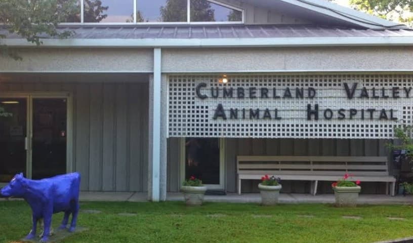 Cumberland Valley Veterinary Services