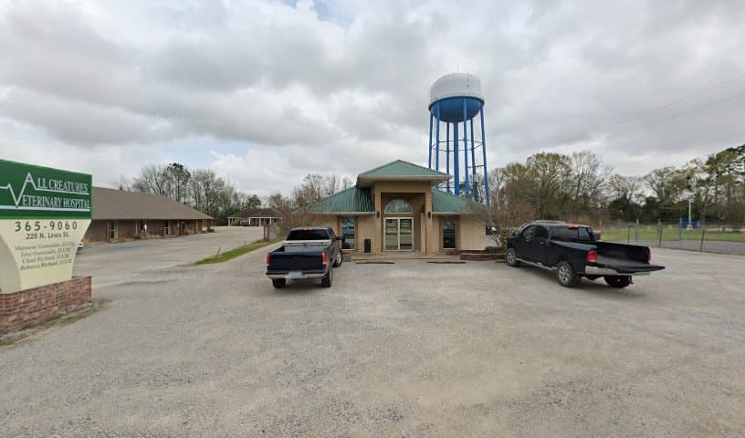 All Creatures Veterinary Hospital
