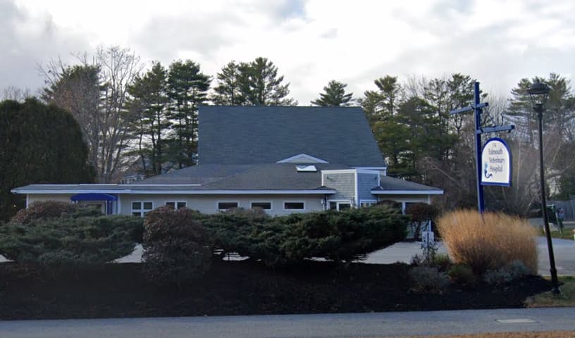 Falmouth Veterinary Hospital