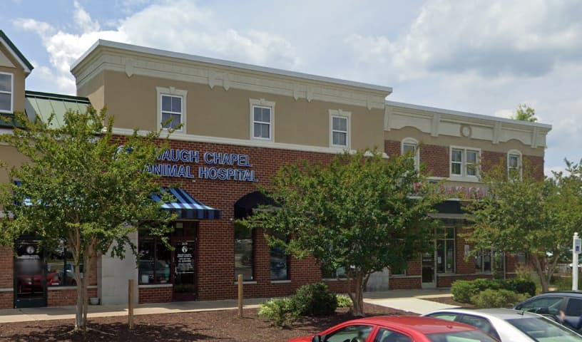 Waugh Chapel Animal Hospital