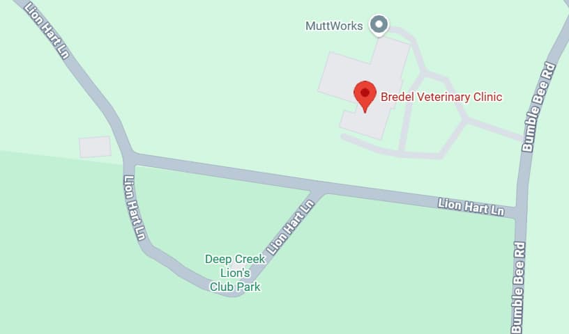 Bredel Vet Clinic