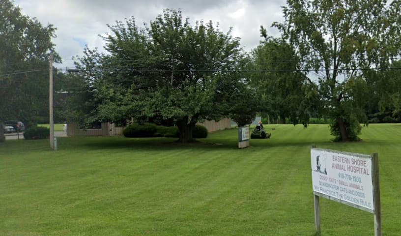 Eastern Shore Animal Hospital