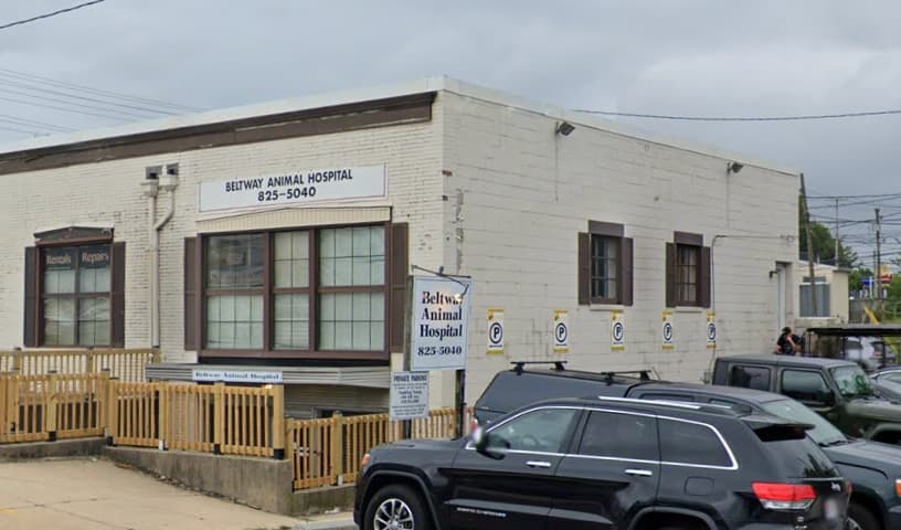 Beltway Animal Hospital