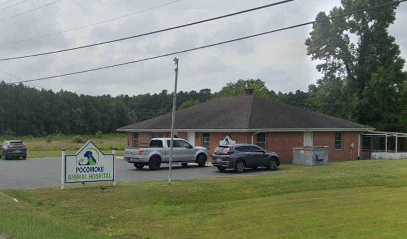 Pocomoke Animal Hospital