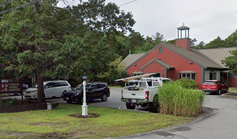 Hyannis Animal Hospital