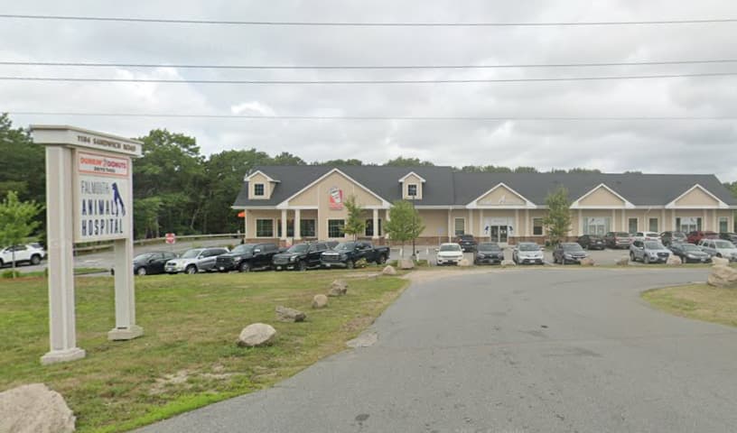 Falmouth Animal Hospital