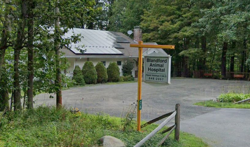 Blandford Animal Hospital