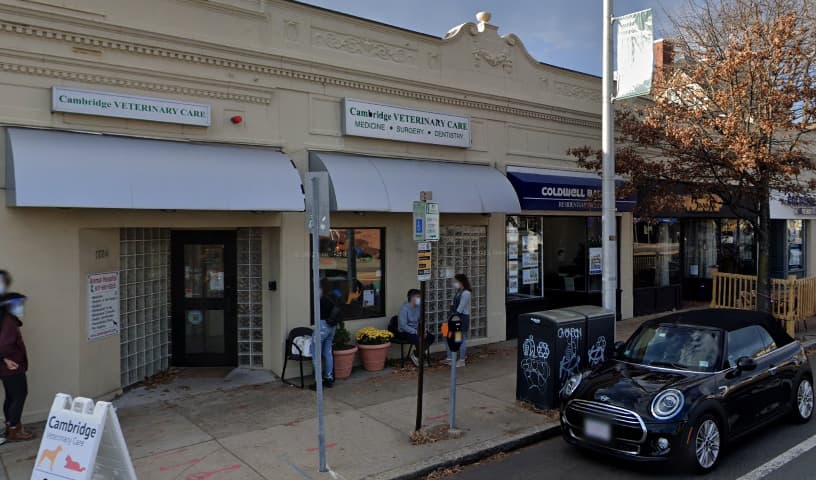 Cambridge Veterinary Care
