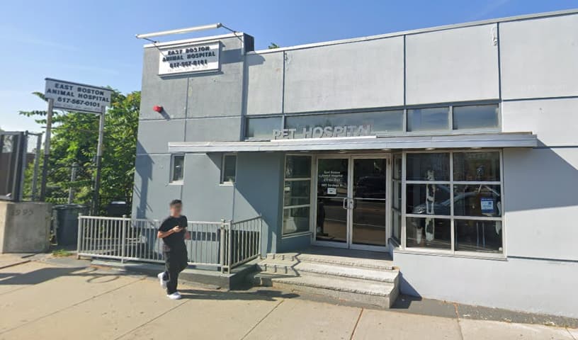 East Boston Animal Hospital
