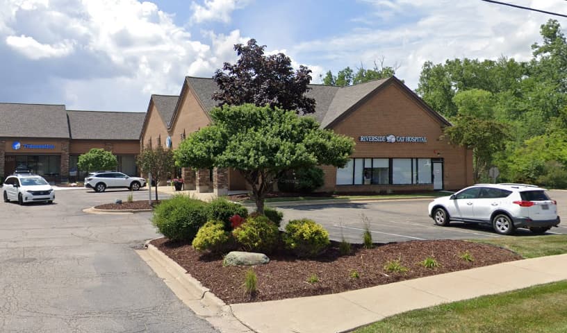 Riverside Cat Hospital