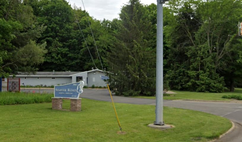 Shaver Road Animal Hospital