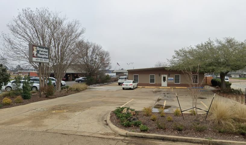 Brandon Animal Hospital