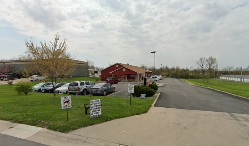 My Zoo Animal Hospital