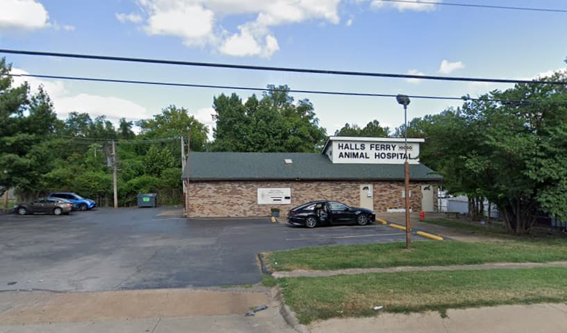 Ferguson Animal Hospital