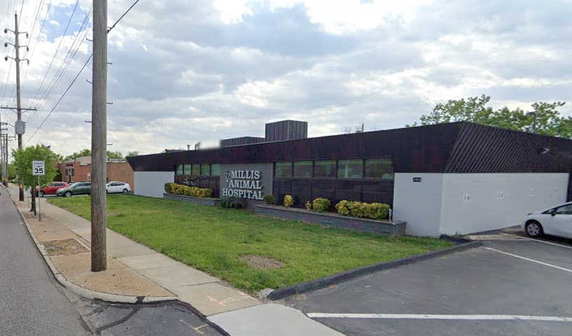 Millis Animal Hospital