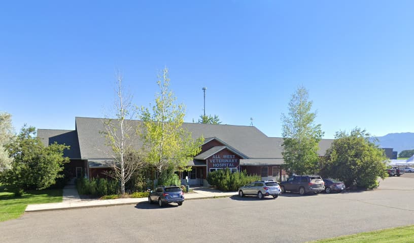 All West Veterinary Hospital