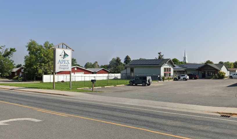 Apex Animal Hospital