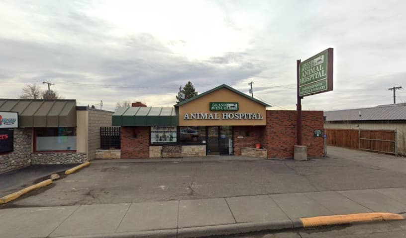 Grand Avenue Animal Hospital