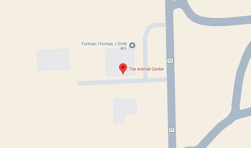 The Animal Center