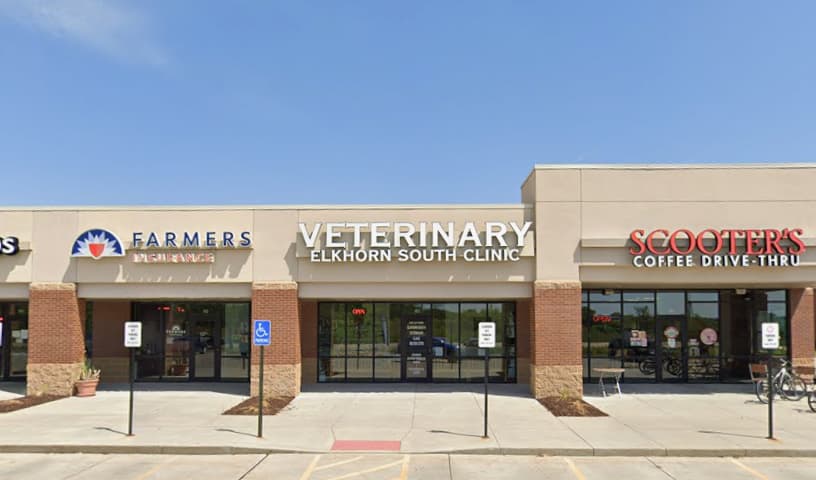 Elkhorn South Veterinary Clinic
