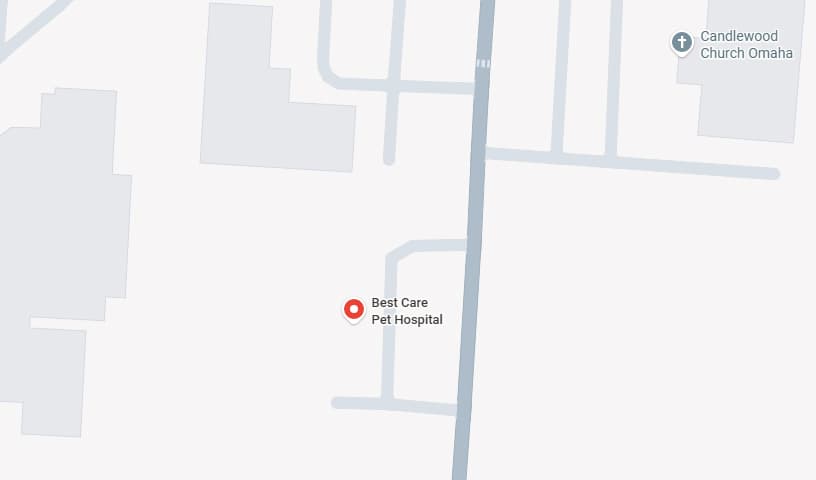 Best Care Pet Hospital