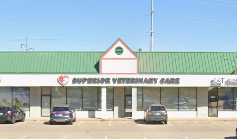 Drivethru Vet at DRIFTWOOD