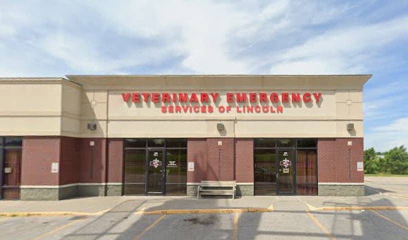 Veterinary Emergency Services