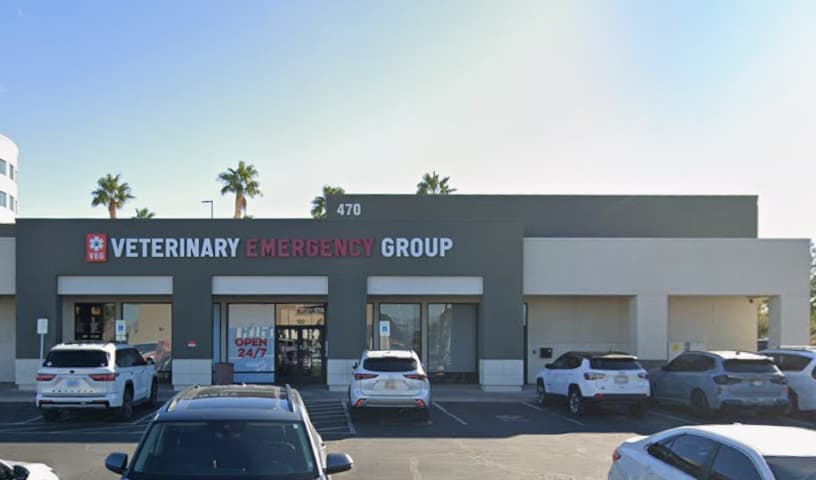 Veterinary Emergency Group