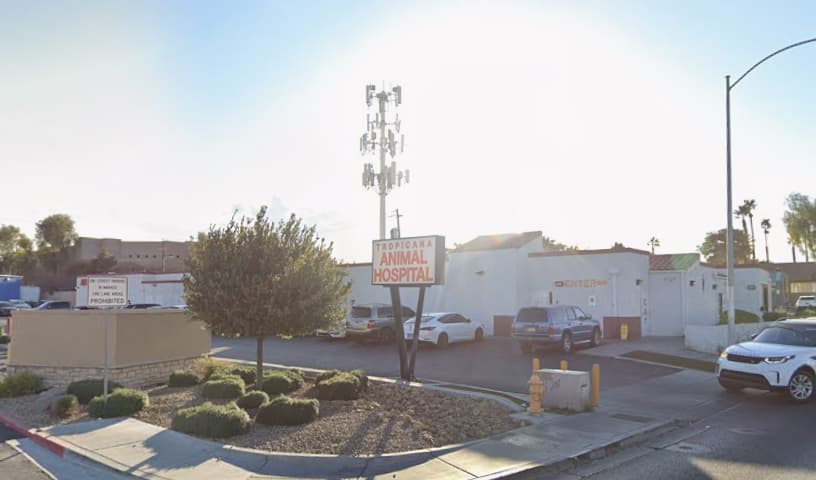 Tropicana Animal Hospital
