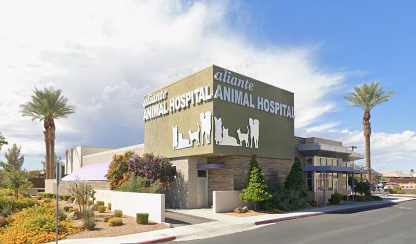 Aliante Animal Hospital