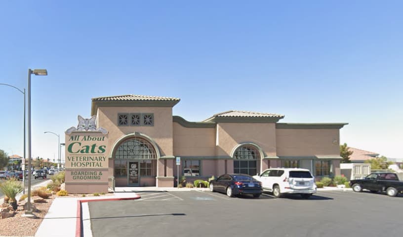 All About Cats Veterinary Hospital