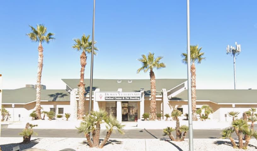 Dewey Veterinary Medical Center