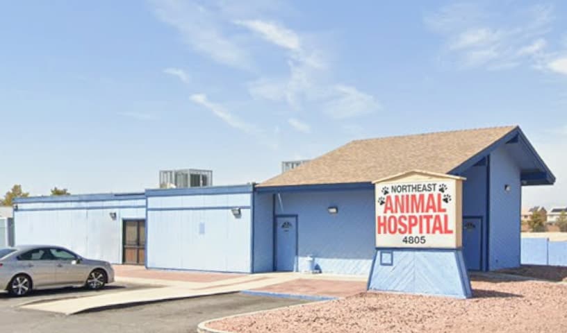 Northeast Animal Hospital