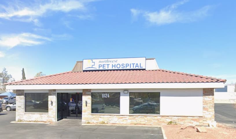 Northwest Pet Hospital