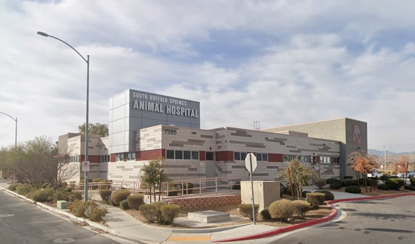 South Buffalo Springs Animal Hospital