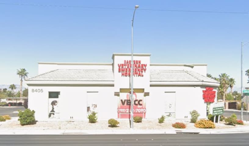 Animal Dermatology Clinic