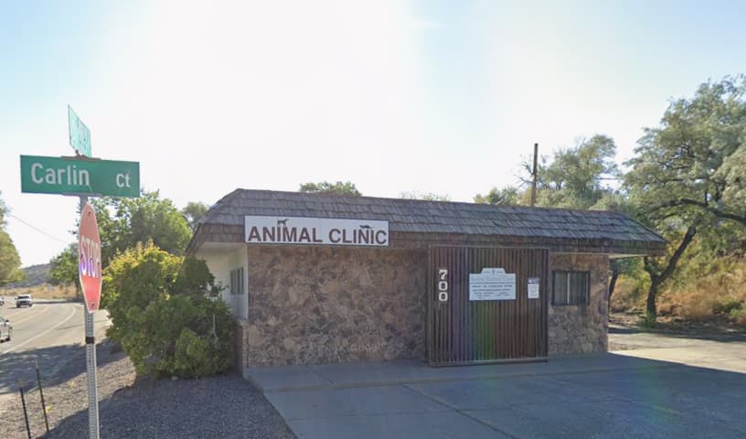 Bergin Animal Clinic