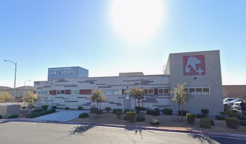 South Buffalo Springs Animal Hospital