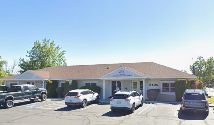 Pyramid Veterinary Hospital
