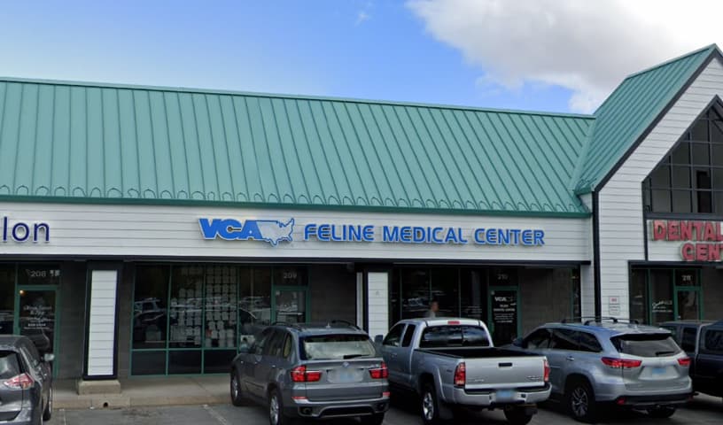 VCA Feline Medical Center
