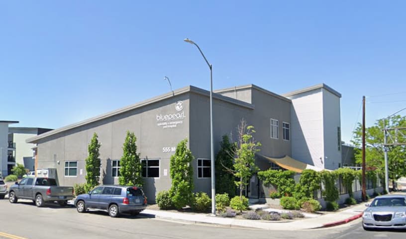 BluePearl Pet Hospital
