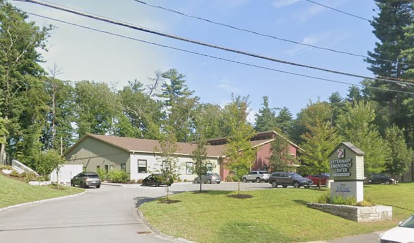 New England Veterinary Ophthalmology