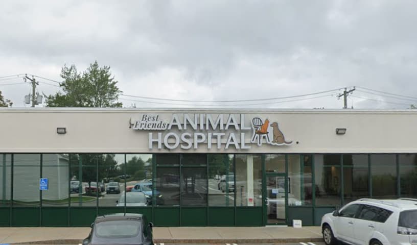 Best Friends Animal Hospital
