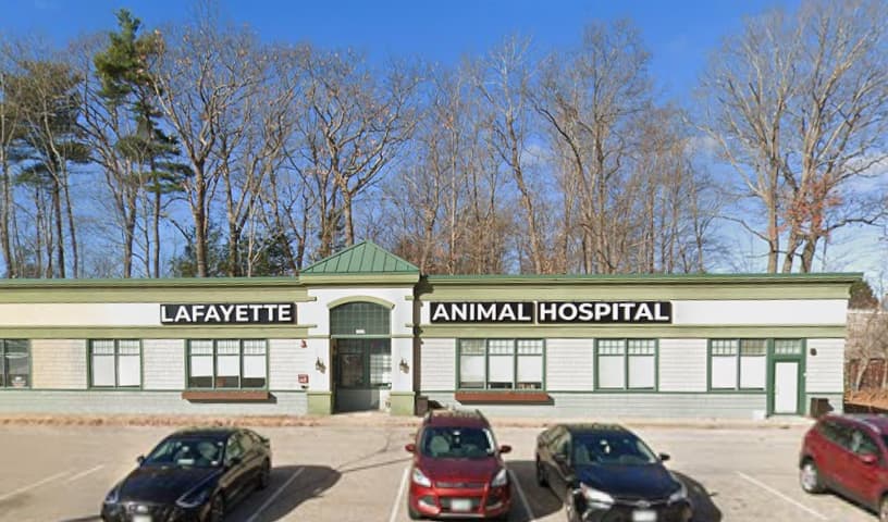 Lafayette Animal Hospital