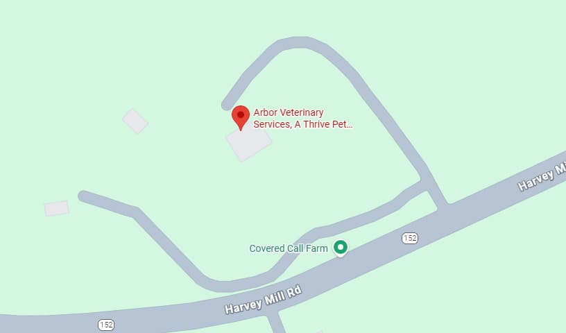 Arbor Veterinary Services
