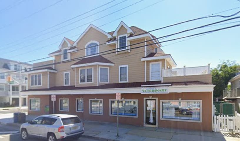 Animal Hospital of Ventnor