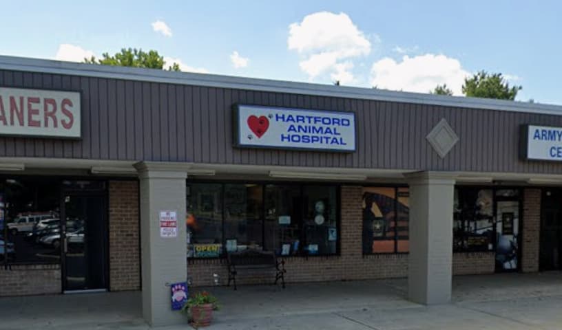 Hartford Animal Hospital