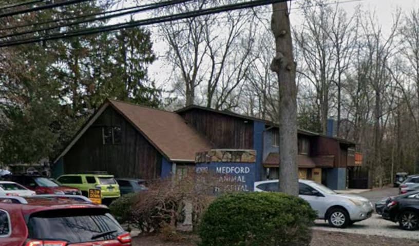 Medford Animal Hospital