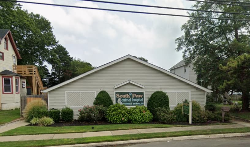 South Paw Animal Hospital